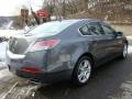 Polished Metal Metallic - TL 3.5 Photo No. 3