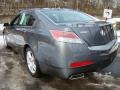 Polished Metal Metallic - TL 3.5 Photo No. 5