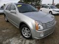 Light Platinum - SRX V6 Photo No. 1