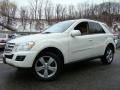 Arctic White - ML 350 4Matic Photo No. 1
