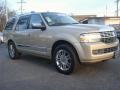 2007 Light French Silk Metallic Lincoln Navigator Luxury  photo #9