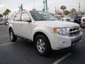 2010 White Suede Ford Escape Limited 4WD  photo #4