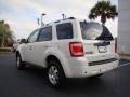 2010 White Suede Ford Escape Limited 4WD  photo #8