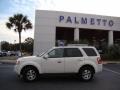2010 White Suede Ford Escape Limited 4WD  photo #35