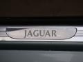 2003 Zircon Metallic Jaguar S-Type 3.0  photo #40