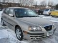 Champagne Beige 2006 Hyundai Elantra GLS Hatchback Exterior