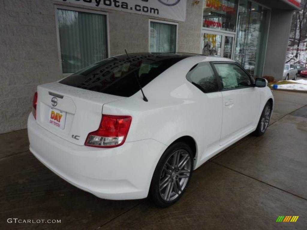 2011 tC  - Super White / Dark Charcoal photo #2