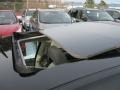 Black Onyx - Aura XE Photo No. 9