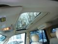 2004 Light French Silk Metallic Lincoln Navigator Luxury 4x4  photo #8