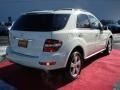 Arctic White - ML 350 4Matic Photo No. 6
