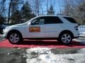 Arctic White - ML 350 4Matic Photo No. 9