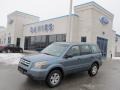 2006 Steel Blue Metallic Honda Pilot LX 4WD  photo #1