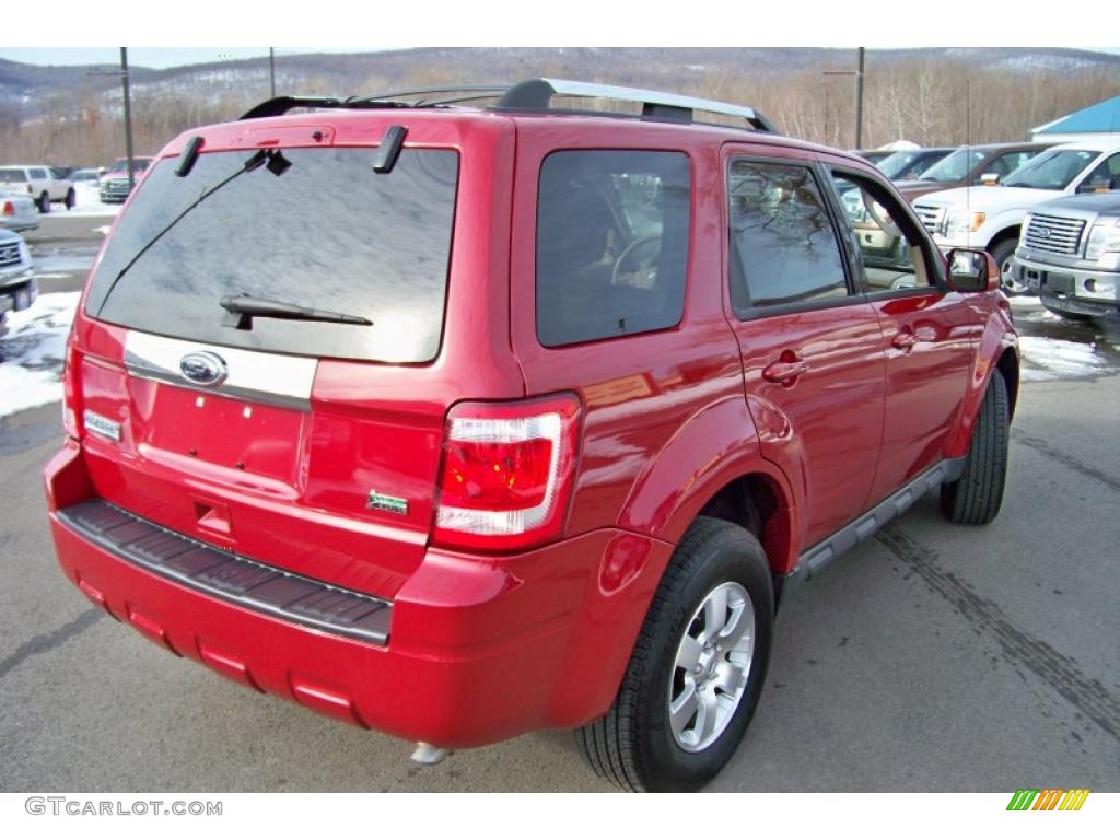 2010 Escape Limited V6 4WD - Sangria Red Metallic / Camel photo #5