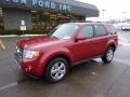 2010 Sangria Red Metallic Ford Escape Limited V6 4WD  photo #8
