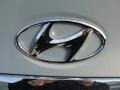 2011 Iridescent Silver Blue Metallic Hyundai Sonata GLS  photo #15