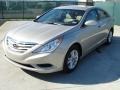 2011 Camel Pearl Hyundai Sonata GLS  photo #7