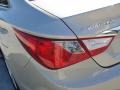 2011 Camel Pearl Hyundai Sonata GLS  photo #15