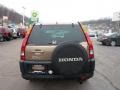 2003 Mojave Mist Metallic Honda CR-V EX 4WD  photo #3