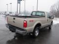 Pueblo Gold Metallic - F250 Super Duty XLT Regular Cab 4x4 Photo No. 9