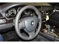 Black Steering Wheel Photo for 2011 BMW 5 Series #44638022