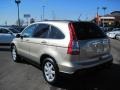 2008 Borrego Beige Metallic Honda CR-V EX-L  photo #3