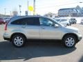 Borrego Beige Metallic - CR-V EX-L Photo No. 6