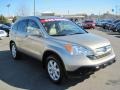 2008 Borrego Beige Metallic Honda CR-V EX-L  photo #7