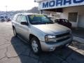 Light Pewter Metallic - TrailBlazer LTZ 4x4 Photo No. 3