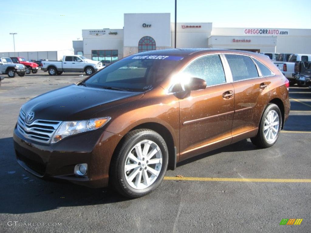 2009 Venza I4 - Sunset Bronze Mica / Ivory photo #1