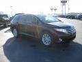 Sunset Bronze Mica - Venza I4 Photo No. 3