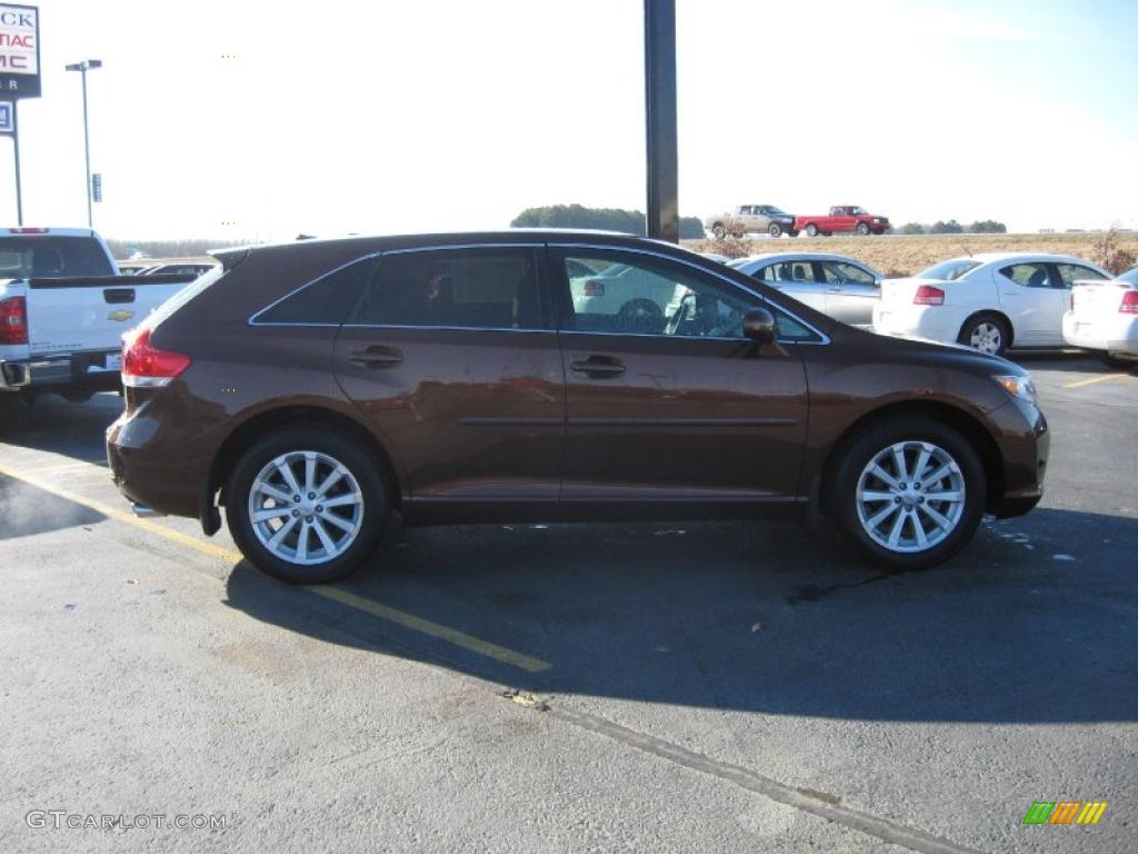 2009 Venza I4 - Sunset Bronze Mica / Ivory photo #4