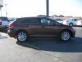 2009 Sunset Bronze Mica Toyota Venza I4  photo #4