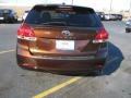 2009 Sunset Bronze Mica Toyota Venza I4  photo #6