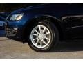 2010 Deep Sea Blue Pearl Effect Audi Q5 3.2 quattro  photo #3