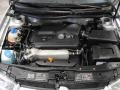 Reflex Silver Metallic - GTI 1.8T Photo No. 18