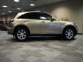 Golden Sand - FX 35 AWD Photo No. 10