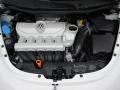 2.5 Liter DOHC 20-Valve 5 Cylinder 2009 Volkswagen New Beetle 2.5 Coupe Engine