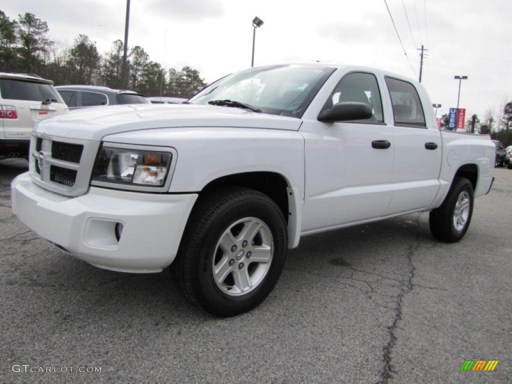 2010 Dakota Big Horn Crew Cab - Stone White / Dark Slate Gray/Medium Slate Gray photo #3