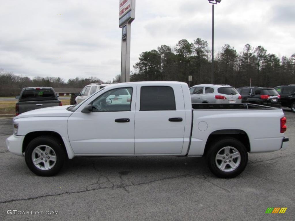 2010 Dakota Big Horn Crew Cab - Stone White / Dark Slate Gray/Medium Slate Gray photo #4