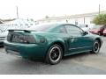 2000 Amazon Green Metallic Ford Mustang V6 Coupe  photo #9