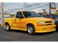 Yellow - S10 LS Regular Cab Photo No. 4