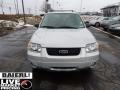 2006 Silver Metallic Ford Escape Limited 4WD  photo #2