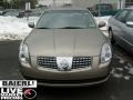 Spirited Bronze Pearl - Maxima 3.5 SE Photo No. 2