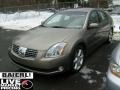 Spirited Bronze Pearl - Maxima 3.5 SE Photo No. 3