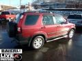 Redondo Red Pearl - CR-V LX 4WD Photo No. 7