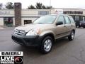 Sahara Sand Metallic - CR-V LX 4WD Photo No. 1