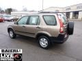 Sahara Sand Metallic - CR-V LX 4WD Photo No. 3