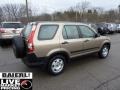 Sahara Sand Metallic - CR-V LX 4WD Photo No. 5