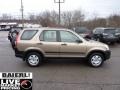 Sahara Sand Metallic - CR-V LX 4WD Photo No. 6