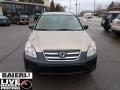 Sahara Sand Metallic - CR-V LX 4WD Photo No. 8